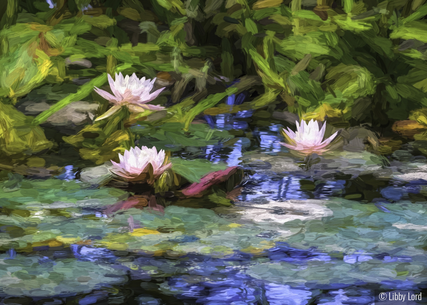 Water Lily Impressions by Libby Lord