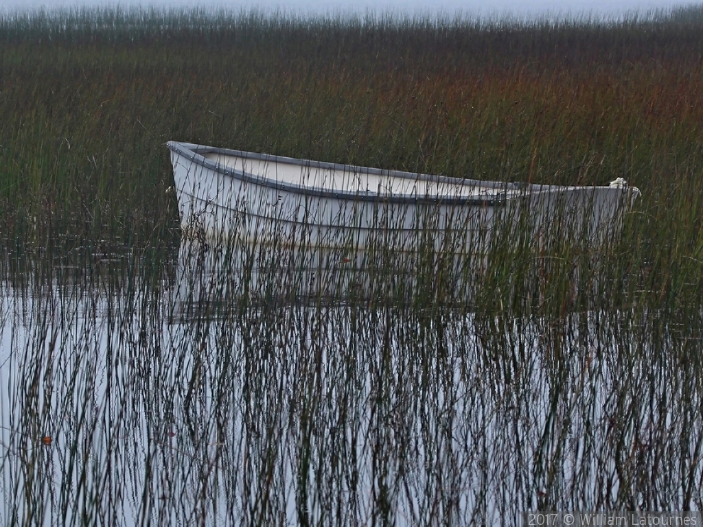 White Boat in the Grass by William Latournes