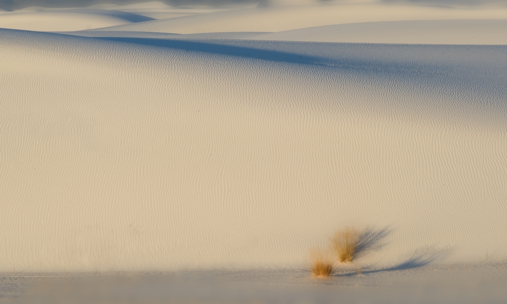 White Sands Shadows on the Dunes by Danielle D'Ermo