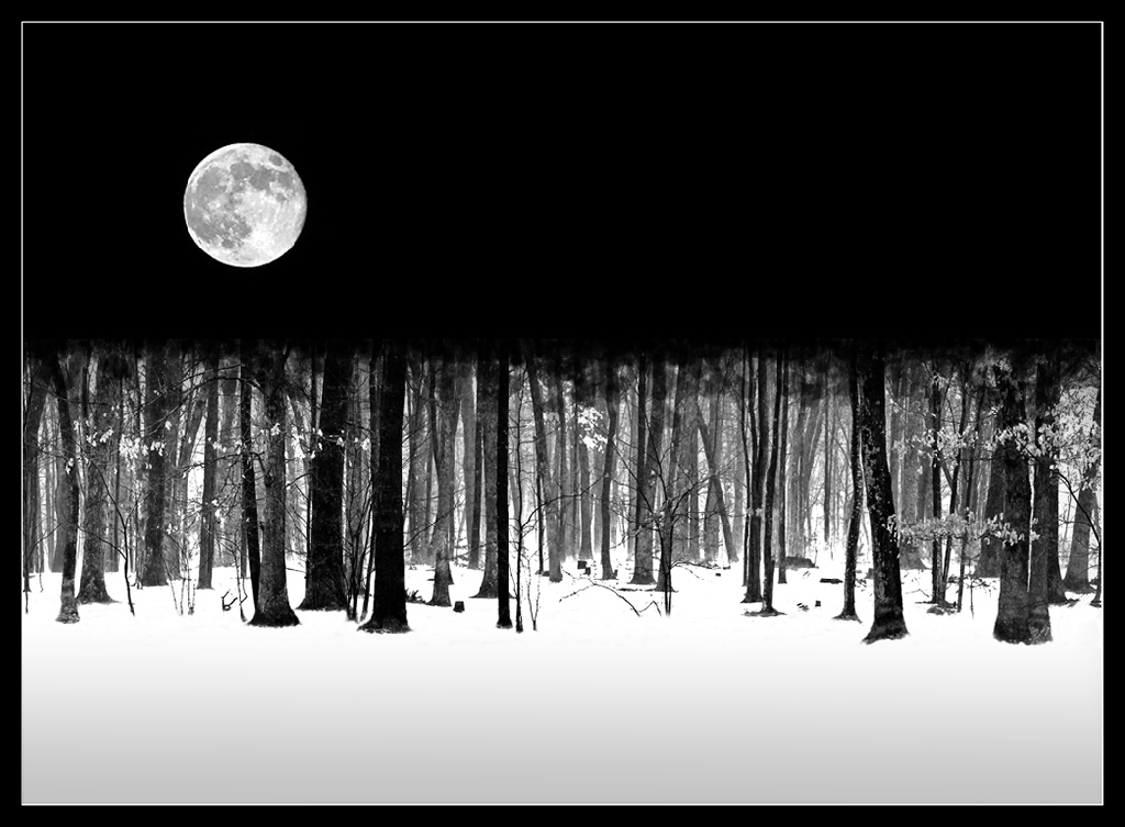 Winter Moon by Bruce Metzger