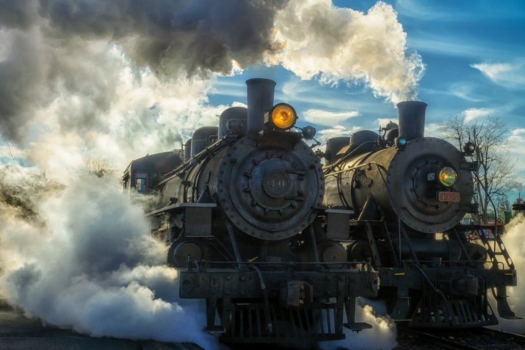 Winter Sun and Steam by Bill Payne