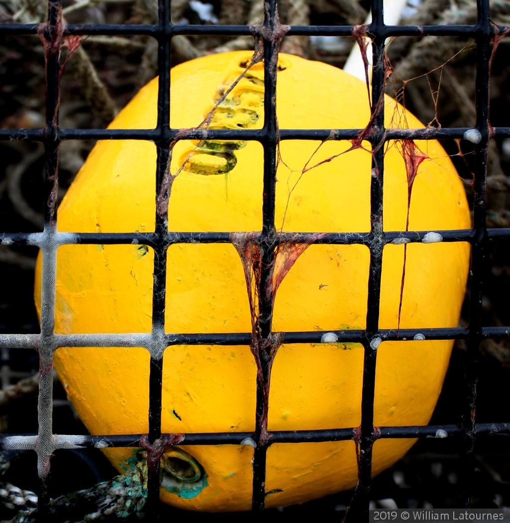 Yellow Buoy by William Latournes