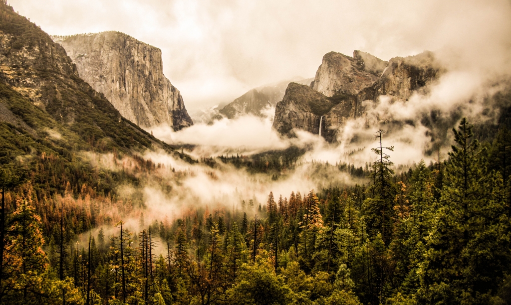 Yosemite by Jim Patrina