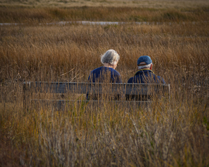 A Quiet Moment Among The Reeds - Photo by Karin Lessard