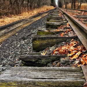A Rail Trail to the unknown - Photo by Dolores Brown