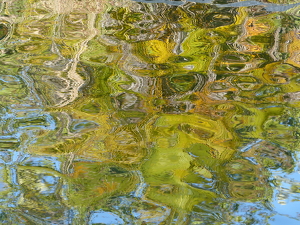 afternoon water reflections - Photo by Wendy Rosenberg