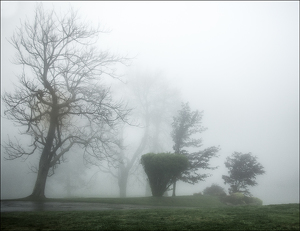 Allegheny Fog - Photo by David Robbins
