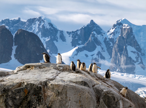 Antarctica - Photo by Susan Case