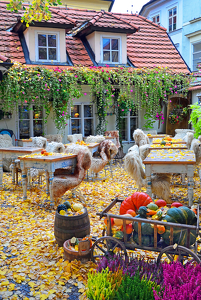 Autumn Al Fresco Dining in Prague - Photo by Louis Arthur Norton
