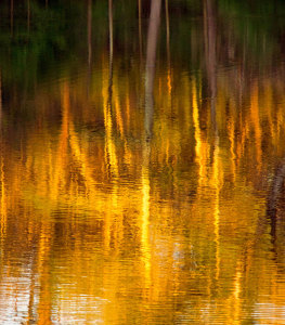 Autumn Reflection - Photo by Alene Galin