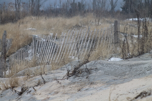 Beach Fence - Photo by James Haney