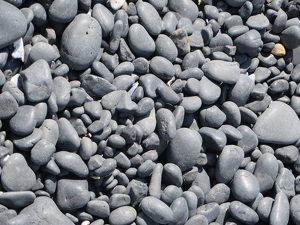 Beach of Pebbles - Photo by Chip Neumann
