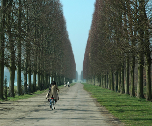 Class B 1st: Bicycling in Versailles by Kevin Hulse