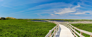 Boardwalk to the shore - Photo by John Clancy