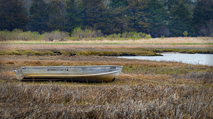 Boat Out Of Water - Photo by Karin Lessard
