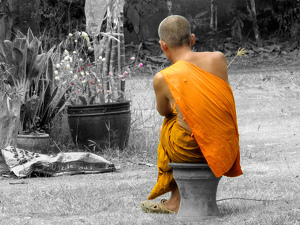 Buddhist and the Bud - Photo by Eric Wolfe