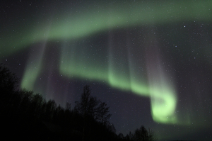 Capturing the Elusive Aurora - Photo by Barbara Steele