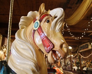 Carousel Horse - Photo by James Haney