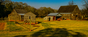 Carter Family Farm - Plains Ga. - Photo by Jim Patrina