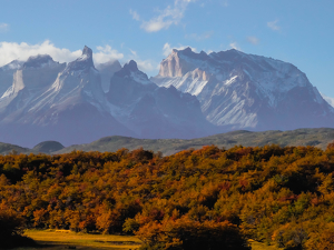 Chilean Fall - Photo by Amy Keith