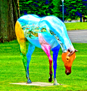Colored Horse - Photo by Charles Hall