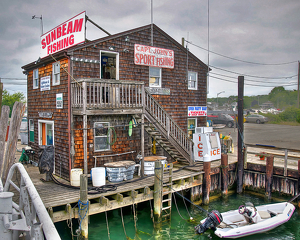 Comical Fishing Store - Photo by Dolph Fusco