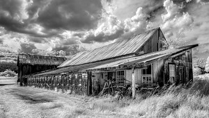 Coolidge Barn - Photo by Bert Sirkin