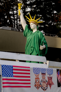 Decorated Lady Liberty - Photo by Peter Rossato