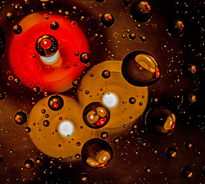 Class B 1st: Droplet Universe by Linda Miller-Gargano