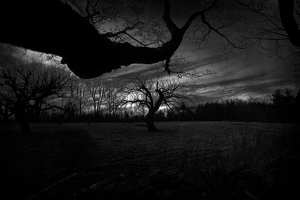 eerie night in Colebrook - Photo by John Parisi