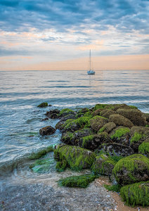 Emerald Drapes of Low Tide at Dusk - Photo by John Straub