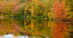 Class B HM: Fall colors by Charles Hall