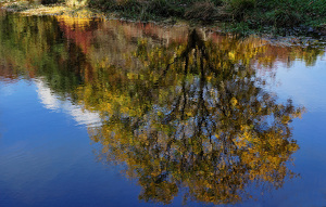 Fall Reflections - Photo by Alene Galin