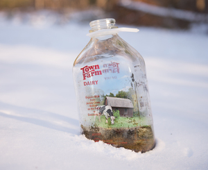 Farm in a bottle - Photo by Vitali Zhulkovsky