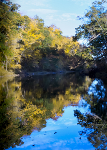 Farmington River in Fall - Photo by Pamela Carter