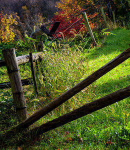 Fences - Photo by Alene Galin