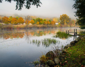 Foggy Fall Day - Photo by Bert Sirkin