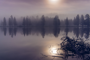 Salon HM: Foggy Morning Sunrise, Yellowstone National Park by Danielle D'Ermo