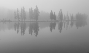 Foggy Reflections Yellowstone - Photo by Danielle D'Ermo