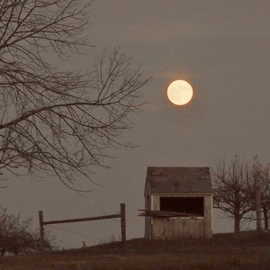 Full Moon Over Auer Farm - Photo by Quyen Phan