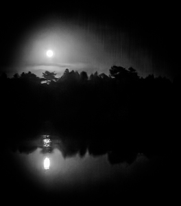 Full moon rising over Back Cove - Photo by Bob Ferrante