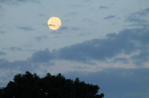 Full Moon - Photo by James Haney