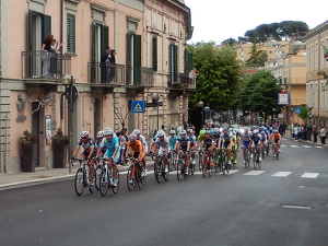 Giro D'Italia - Photo by Susan Case