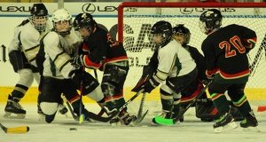 Going After The Puck - Photo by Bill Latournes