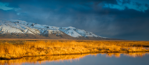 Salon 1st: Golden Hour in Iceland by Danielle D'Ermo