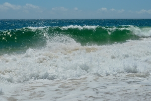 Green Wave - Photo by Cheryl Picard