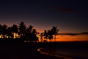 Hawaiian Shoreline - Photo by Nick Bennett