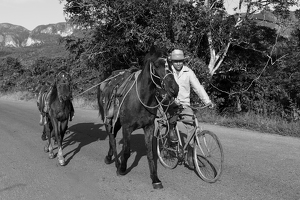 Heading to work, Vinales, Cuba - Photo by Nancy Schumann