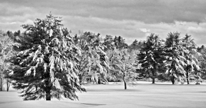 Hopmeadow Winter - Photo by Bruce Metzger
