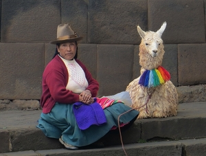 I tell my llama to rock the colors and just own it baby - Photo by Eric Wolfe
